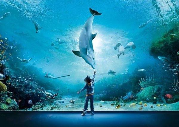 Апартаменты La Perla Bianca Генуя Экстерьер фото